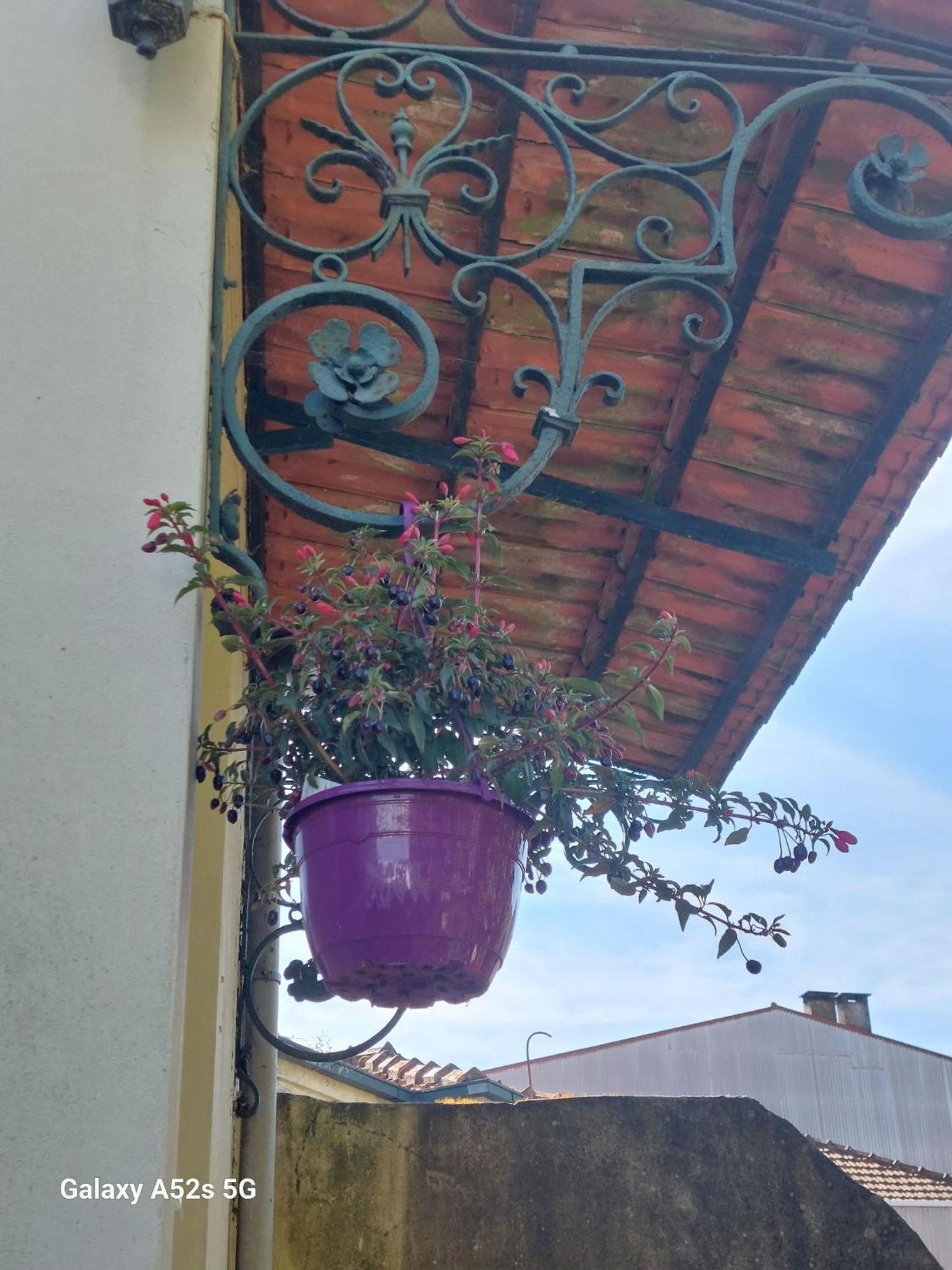 Casa Portugueza Experience Apartment Porto Luaran gambar