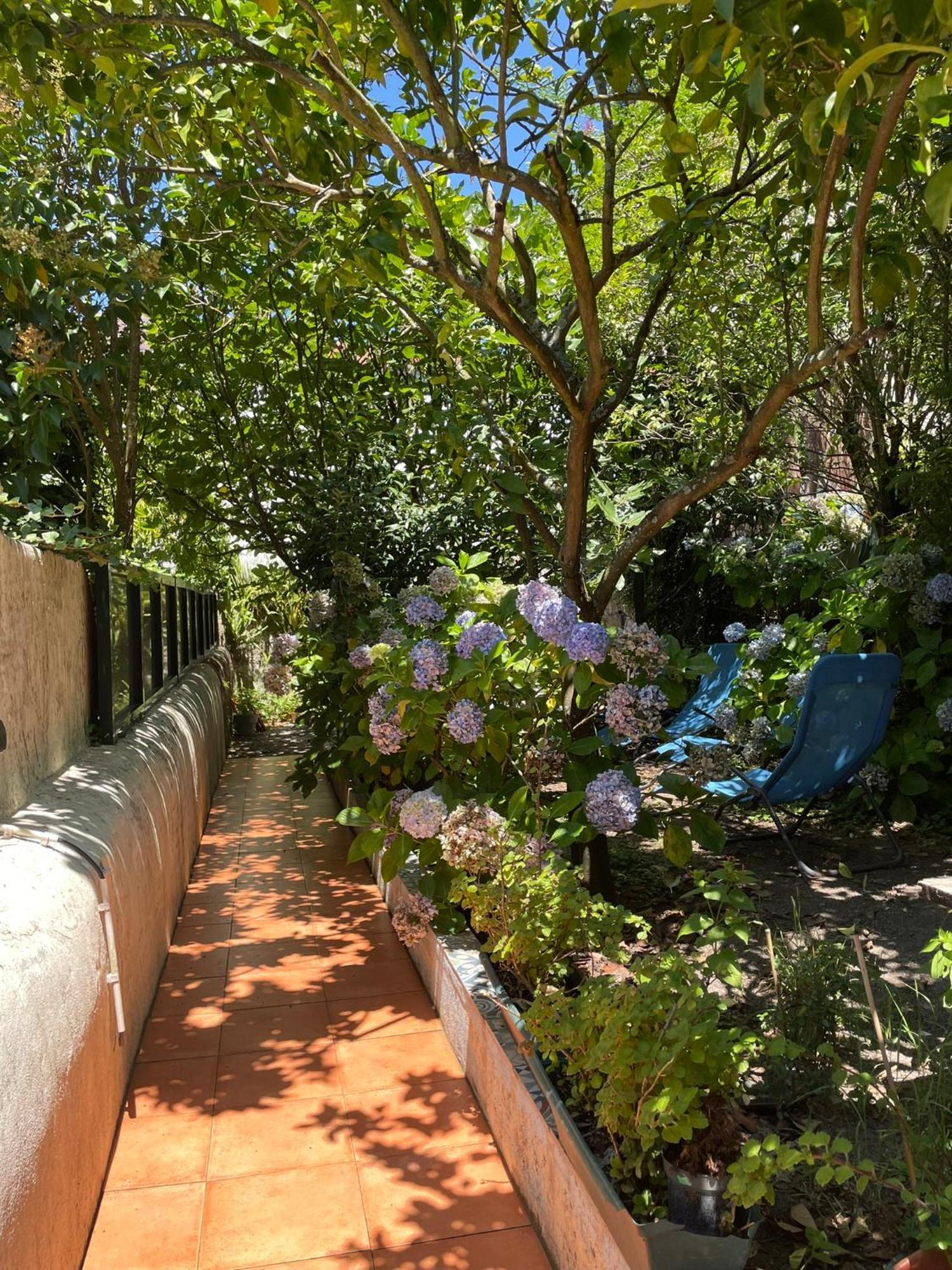 Casa Portugueza Experience Apartment Porto Luaran gambar